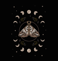 Moth Phases Of The Moon And Stars Herbs