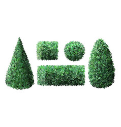 Realistic Garden Bushes Topiary Gardener Fence