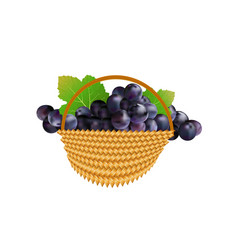 Grapes In Basket Isolated On White Background