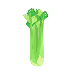 Celery Stalks