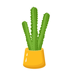 Modern Flat Of Cactus Houseplant