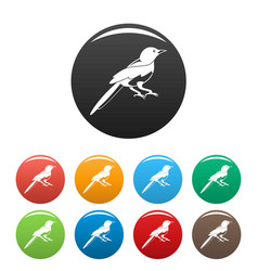 Small Magpie Icons Set Color