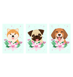 A Set Of Dogs With Magnolia Flowers