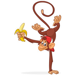 Cartoon Funny Monkey Chimpanzee Standing On One