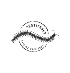 Vintage Animal Venomous Centipedes Silhouette