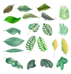 Leaf And Icon Set