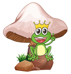 A King Frog Near The Giant Mushroom