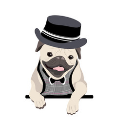 Cute Pug Dog Cartoon In Scottish Costume