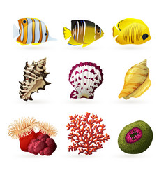 Sea Fauna Icons