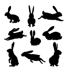 Hand Drawn Animal Silhouette