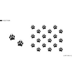 Lion Paw Prints Silhouette