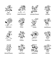 Collection Of Flower Plants Doodle Icons