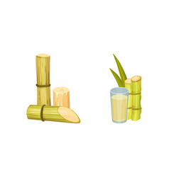 Sugarcane Fibrous Stalk And Extract In Glass