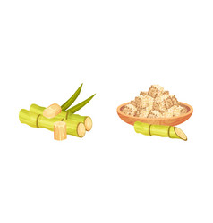 Sugarcane Fibrous Stalk And Pile Of Cubes In Bowl