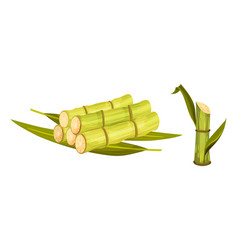 Sugarcane Stout And Fibrous Stalk Or Stem