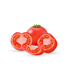 Realistic Tomato Whole Vegetable Half Sliced