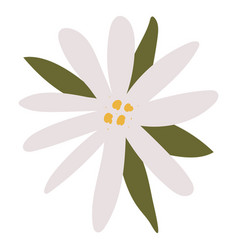 White Flower Icon