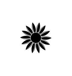 Circle Sun Flower Design Pattern