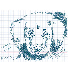 Hand Drawn Puppy Dog