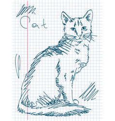 Hand Drawn Cat