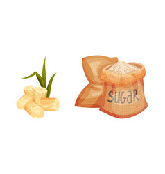 Sugarcane Fibrous Stalk And Sack With Sugar