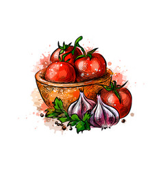 Tomatoes And Garlic From A Splash Watercolor