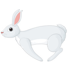 White Rabbit Cartoon Character