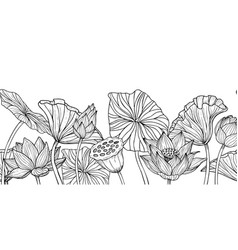 Lotus Flower Seamless Border Hand Drawn