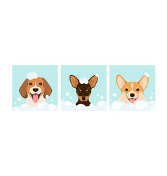 A Set Of Funny Dogs In Foam