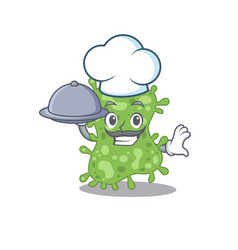 Salmonella Enterica Chef Cartoon Character