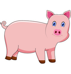 Cute And Chubby Pig Graphic