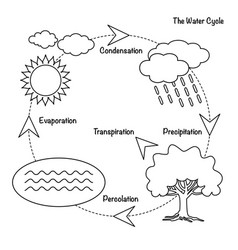 Water cycle colour Royalty Free Vector Image - VectorStock