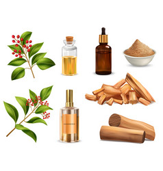 Realistic Sandalwood Set