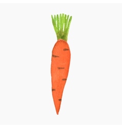 Watercolor Or Aquarelle Carrot