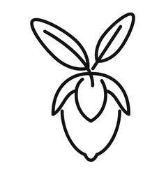 Jojoba Leaf Icon Outline Aroma Herb