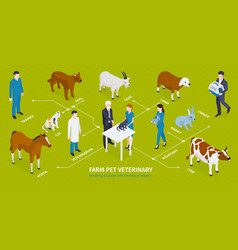 Farm Pets Veterinary Infographics