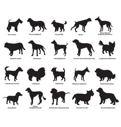 Dog silhouettes Royalty Free Vector Image - VectorStock