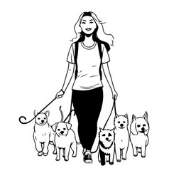 Woman Walking Dogs Of A Woman Walking Her Dogs