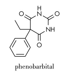 Phenobarbital Barbiturate Anticonvulsant Epilepsy