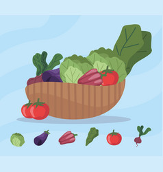 Fresh Vegetables In Basket