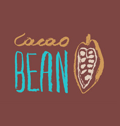 Vintage Cocoa Bean Sign For Badge Or Label Design