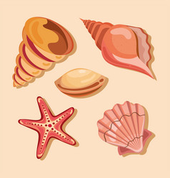 Five Sea Shells Icons