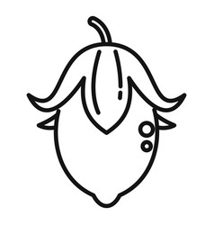 Jojoba Fruit Icon Outline Plant Seed