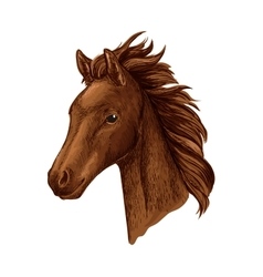 Brown Mare Horse Head Sketch With Arabian Filly