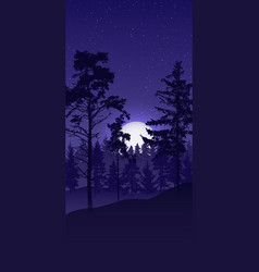 Moonlit Night In A Pine Forest