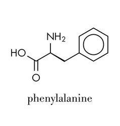 Phenylalanine L-phenylalanine Phe F Amino Acid