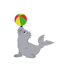 Cartoon Seal Who Plays With The Beach Ball Seal