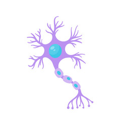 Human Sensory Neuron Model For Biology Studies