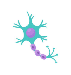 Human Sensory Neuron Model For Biology Studies