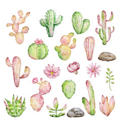 Watercolor Cactus Set Desert Mexican Plants